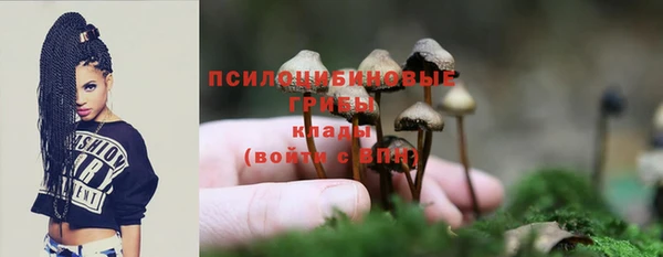 наркотики Богородск