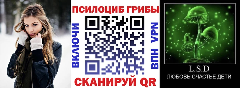 hydra зеркало  Полесск  Галлюциногенные грибы Cubensis 